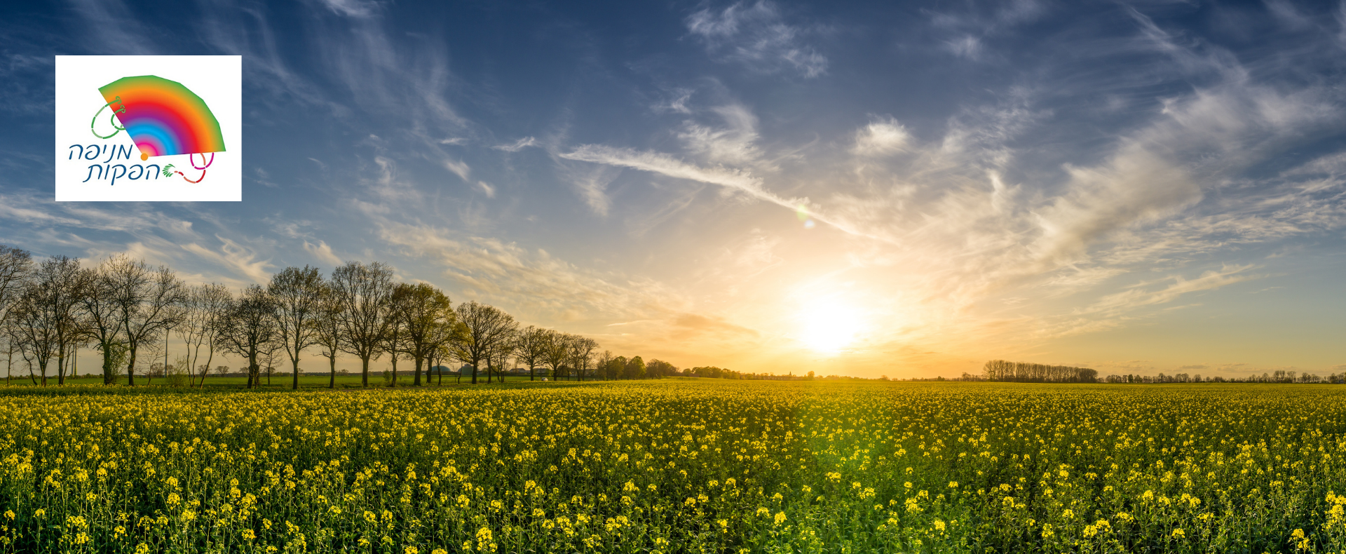 Read more about the article ערב מוריד הטל משובים – מנחם פאלק